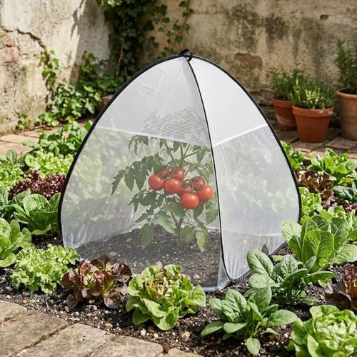 2PCS Pop Up Insect Barrier Plant Cover Tent,Garden Plant Protectors Mesh (White) - color: White