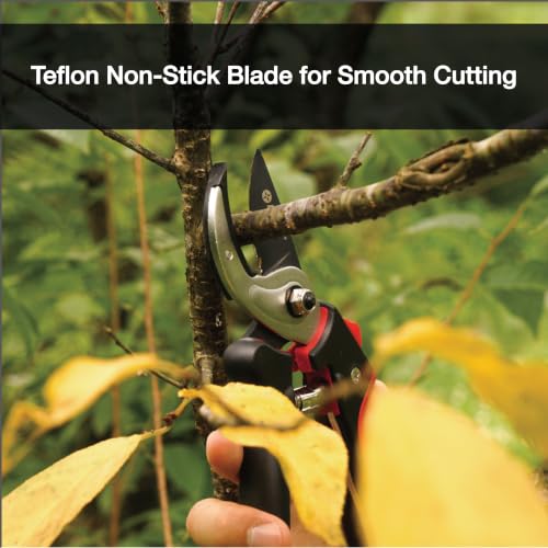 Eden 39000 Heavy Duty Adjustable Anvil Pruning Shears for Gardening, Hand Pruners, Stem Cutter, Branch Trimmer, Garden Clippers - style: Adjustable