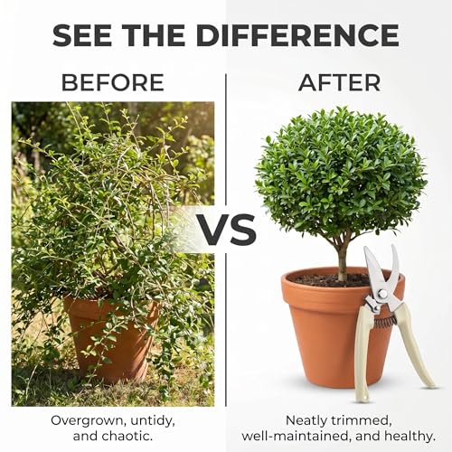 1Pc Straight Garden Shears with Safety Lock, Plant Pruning Scissors - color: 1pc- Straight Pruning Scissors