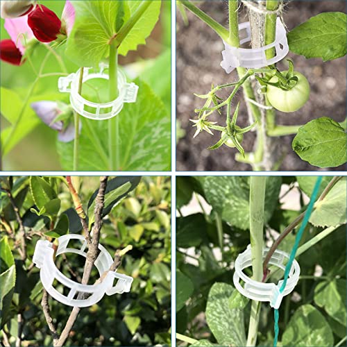120 Pack Tomato Clips for Climbing Plants Garden Support Plant Trellis