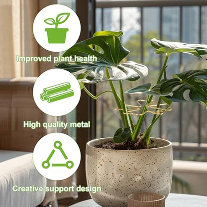 6pcs Plant Stem Support, Iron Monstera Plants Support, Plant Stem Holder - color: Butterfly-6pcs