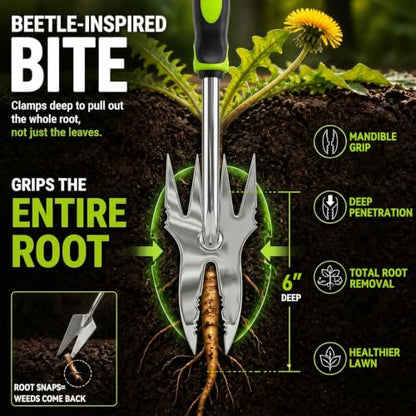 Weed Puller Tool, 2-in-1 Hand Weeder and Root Remover, Heavy Duty Stainless Steel Weeding Tool for Deep Roots, Ergonomic Garden Weed Pulling Tool for Lawn and Yard - Green (Green) - color: Green
