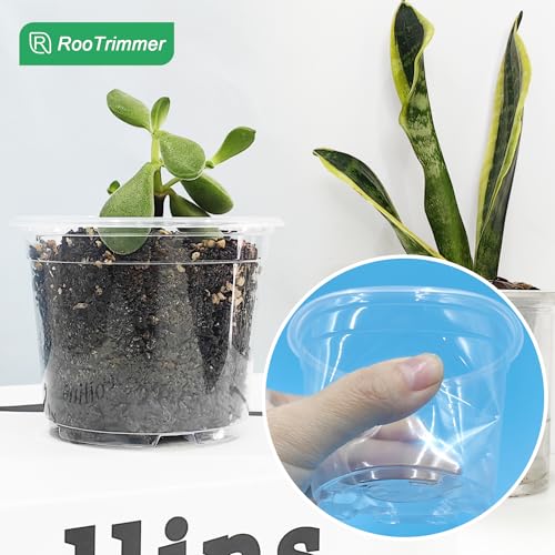 RooTrimmer Clear Seedling pots 100-Pack 3.2 Inches Round for Seeds Starter Pots, Seeds Germination Transparent Clean Pots with Drainage Holes(100 Pcs, 3.14Inch) - size: 3.2Inch 100P