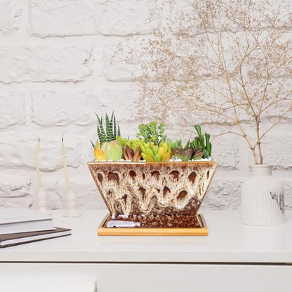 ARTKETTY Succulent Pots, 7 Inch Large Plant Pots with Drainage Tray - color: White With Tray