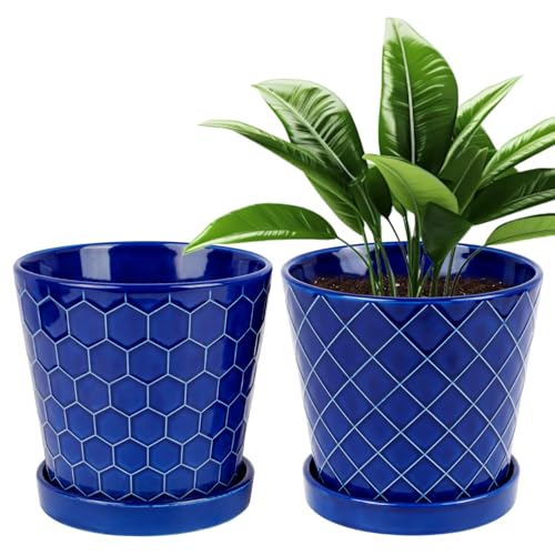 BUYMAX 6 Inch Plant Pot Ceramic Flower Pots Set of 2 with Drainage Hole
