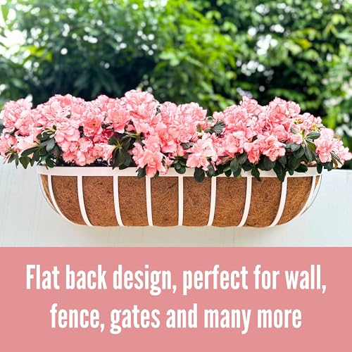 LaLaGreen Outdoor Planter Boxes (36 Inch, 2 Pack) White Metal Deck Railings Flower Box with Coco Liner, Rectangular Wall Planters for Window Plants Horse Troughs Fence Balcony Modern Herb Patio Porch - size: 36 Inch (2 Pack)