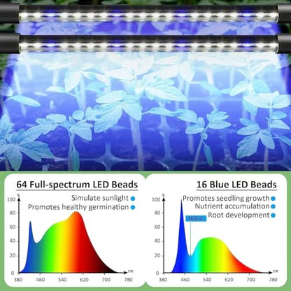 GROZY Seed Starter Tray with Grow Light 40-Cell Seedling Timer Setting
