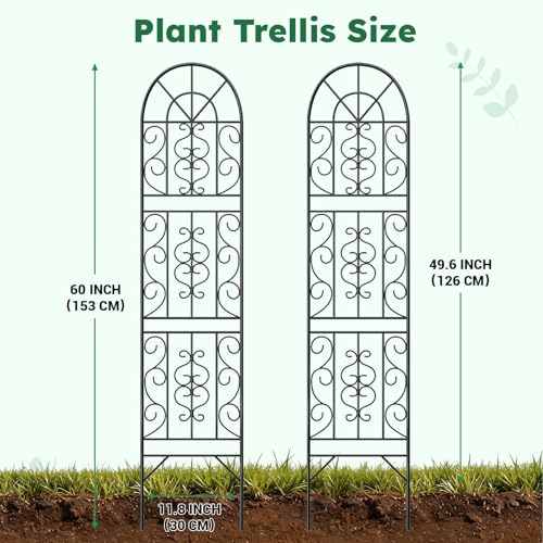 2 Pcs 60" H X 11.8" W Trellis for Climbing Plants Outdoor, Small Metal Garden Trellis for Outside, Sturdy Support Garden Plant Trellis Arch for Rose Cucumber Flower Vine Decor