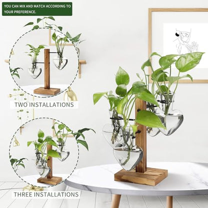 Plant Terrarium Propagation Stations with Wooden Stand - color: Grey