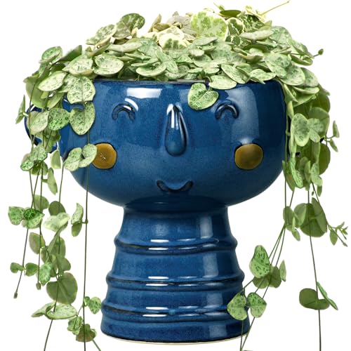 Face Planter Pot Head 7 Inch - Cute Ceramic Head Planter for Indoor Outdoor Plants Unique Flower Pot with Drainage Hole Gift Ideas for Christmas Blue - color: Blue-boy