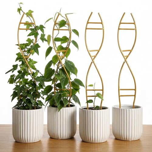 4 Pcs Glod Indoor Plant Trellis for Potted Plants - Durable Metal Climbing Trellis with Unique DNA Spiral Design for Vining Plants, Easy Installation for Indoor & Outdoor Use