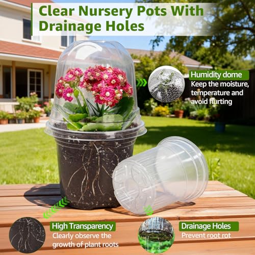 MIXC Clear Nursery Pots with Humidity Domes, 5/4/3.5 Inch 30 Pack - color: Transparent, size: 3.5/4/5 Inch-with Lid