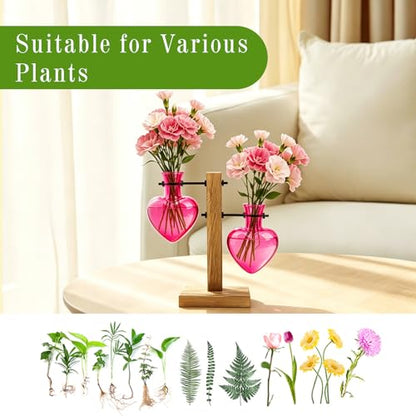 XXXFLOWER Plant Propagation Station Terrarium 2 Pink Heart Shaped Vase - color: Pink