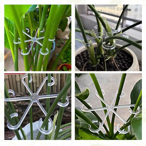 16 Pack Adjustable Indoor Plant Support Stakes, Reusable Plastic Stem Holders & Trellis for Monstera, Pothos, Vines Vertical Growth Air Circulation Stable Stem Support (Clear) - color: 16 Pcs Clear