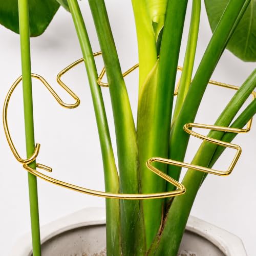 5PCS 10 * 9.3In Monstera Plant Support Stem-Ideal for Indoor Plants - size: 11x9.4inches