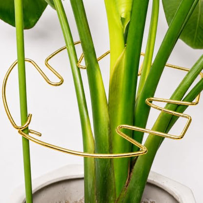 5PCS 10 * 9.3In Monstera Plant Support Stem-Ideal for Indoor Plants - size: 11x9.4inches