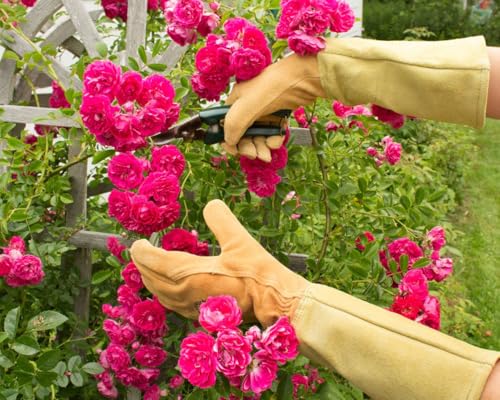 Womanswork Rose Gauntlet Leather Garden Gloves – Made in the USA - size: Medium