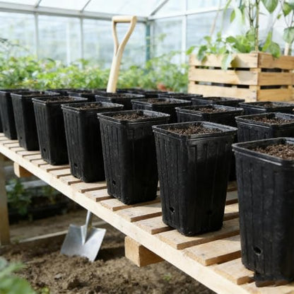 5Pcs Square Tree Pot with Drainage Holes Starting Pots for Indoor Outdoor Plastic Deep Nursery Treepots Seedling Flower Plant Contain ﻿ (5Pcs,9x29cm) - color: 5pcs,9x29cm
