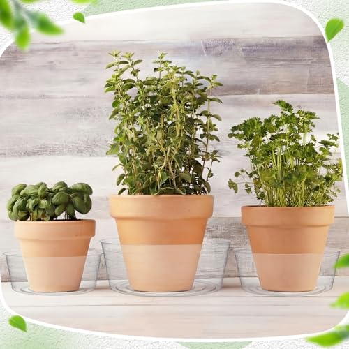 Hoolerry 15 Pcs Plastic Plant Saucer Clear Deep Tray, 10, 12, 14 Inch - size: 10, 12, 14 Inch