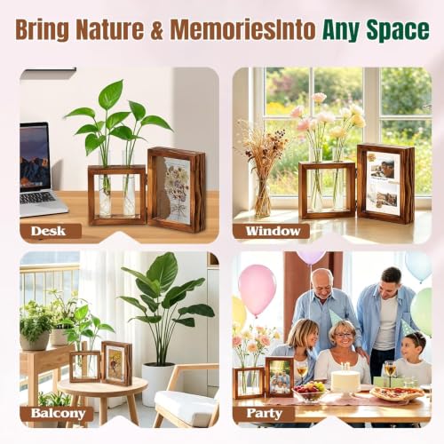 Plant Propagation Station with Wooden Picture Frame, Desktop Home Decor