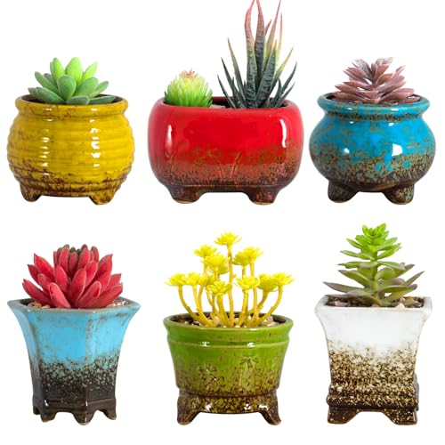 ARTKETTY Succulent Pots, Small Succulent Plant Pots with Drainage Set of 6 - color: Colorful - 3.5 Inch