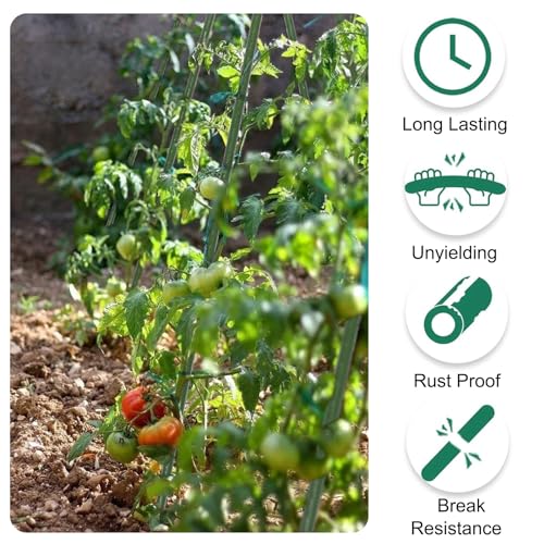 25 Pack 36 Inch Plant Stakes for Peppers,Beans & Tomatoes - size: 36 Inches