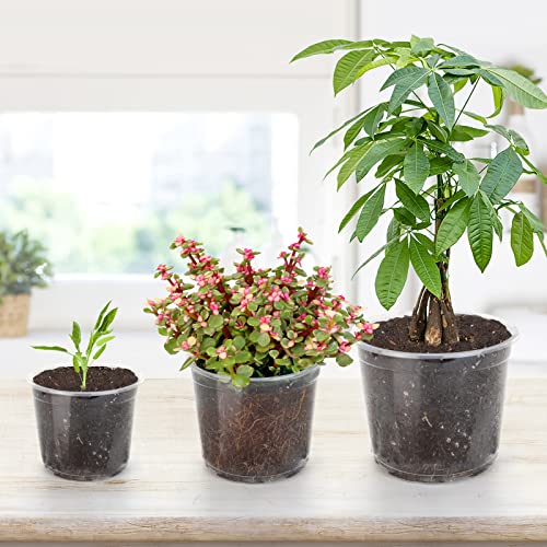 OUPSAUI 28 Pack 4/5/6/7 Inch Clear Nursery Pots for Plants with Drainage Holes, Clear Plastic Seedling Flower Plant Pot Insert, Seed Starter Pots - size: 28PCS-4+5+6+7