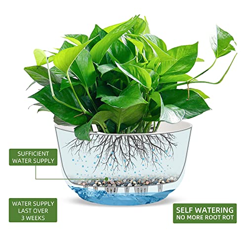 Dexceder 9.8 Inch Self Watering Hanging Planter (2 Pack, White) - color: White, size: 9.8 inch