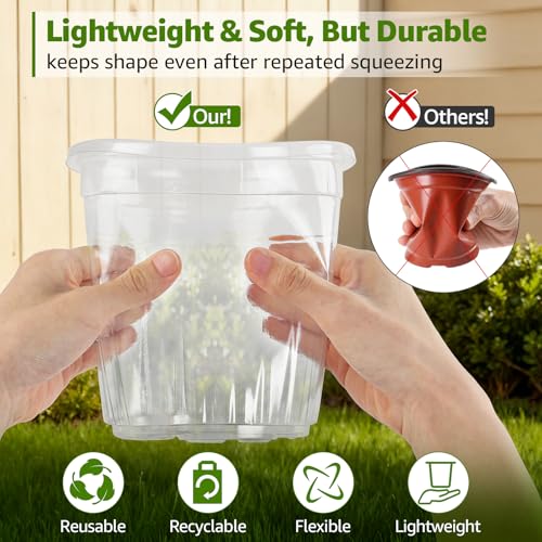MIXC Clear Nursery Pots with Humidity Domes, 5/4/3.5 Inch 30 Pack - color: Transparent, size: 3.5/4/5 Inch-with Lid