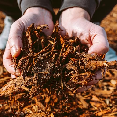 GARDENWISE Premium Gold Wood Mulch for Landscaping, Gardens, Lawns, Potting Media, and Potted Plants (0.3 CF - 8 L - 9 QTS) - color: Gold Wood Mulch, size: 0.3 CF - 8 L - 9 QTS