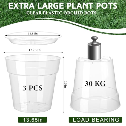 Baderke 3 Pack Clear Nursery Pot,13.65 Inch - size: 13.65 Inches