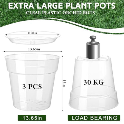 Baderke 3 Pack Clear Nursery Pot,13.65 Inch - size: 13.65 Inches