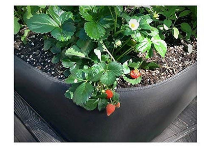 3 ft X 6 ft Victory 8 EZ-GRO Med Rectangle Raised Garden Bed Just Right Size AeroFlow Proprietary Fabric Grow Your OWN - size: 3x6 Feet