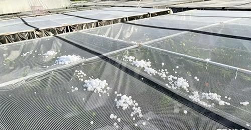 Anti-Aging Orchard Anti-Hail Netting Vegetable Garden Hail Protect Netting,19.5x30ft - size: 19.5x30ft