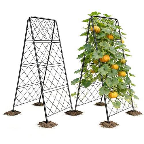 50"x17" Heavy Duty Metal Garden Trellis - Rust-Proof A-Frame Cucumber Trellis with High-Density Rhombus SteelGrats for Climbing Plants, Tomatoes & Raised Beds, Outdoor Use (2 Pack) - color: 2pack