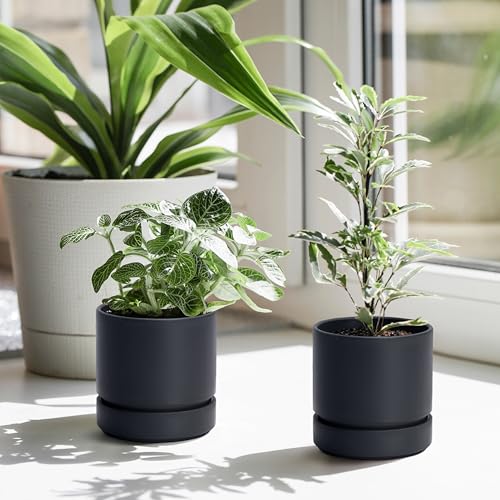 Phoenix Vine 4 Inch Planter Pot with Drainage Hole & Saucer, Deep Water Catch Tray, Straight Cylindrical Round Pot for Plants, Matte Black, Pack of 4, 23-C-R-4 - color: Matte Black, size: 4" (4 Pack)