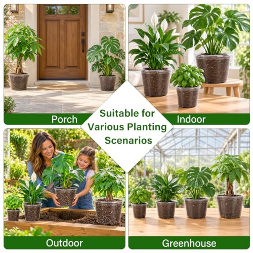 Bluepro Clear Nursery Pots with Drainage Holes, 6/8/10/12 Inch, 20-Pack - size: 6/8/9.5/12 Inch-20Pcs