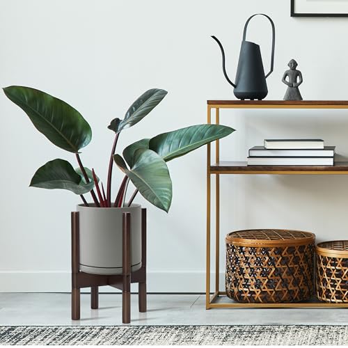 D'vine Dev Ceramic Pot with Walnut Wood Stand, Grey, 8 in, 55-B-Y-3 - color: Grey Pot + Walnut Color Stand, size: 8 Inch