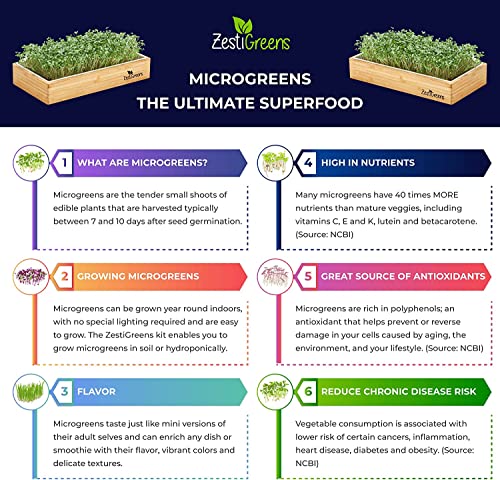 ZESTIGREENS Microgreens & 9 Seed Mat Refill
