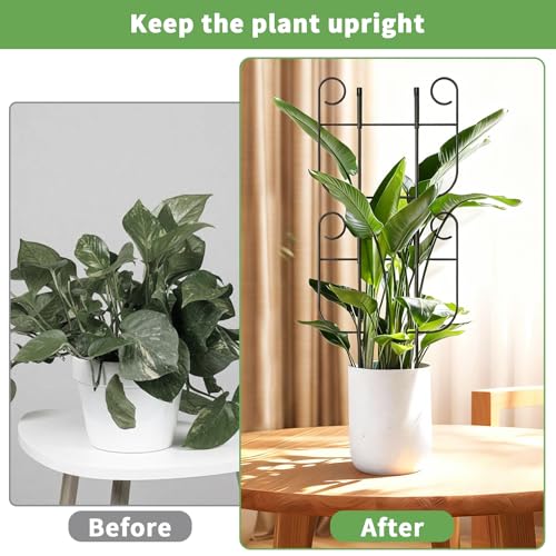 2 Pack Trellis for Climbing Plants Indoor, Expandable Small Metal Trellis for Potted Plants, Flowers Vine Ivy, Sturdy Houseplant Pothos Plant Climber Support - size: 2 Pack-15in(H)x10in(L)