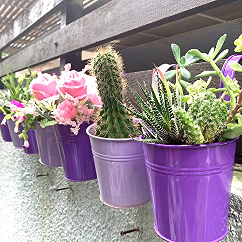 LaLaGreen Outdoor Rail Planter (4 in, 10 Pack) Purple Metal Railing Pots - size: 4 Inch (Purple)