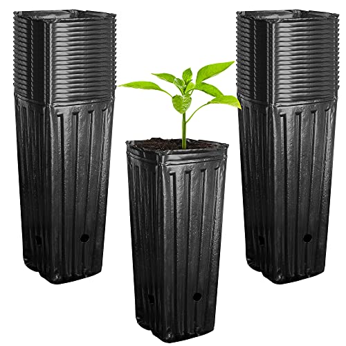 RunNico 50pcs Plastic Deep Plant Nursery Pots,11.8”Tall Tree Pots,Black Deep Seedling Container Pots with Drainage Holes for Indoor Outdoor Gardening (3.9" Wx11.8 H) - color: 3.9"wx11.8"h