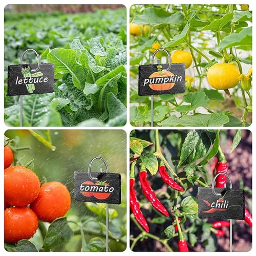 Slate Plant Labels Garden Markers Signs Labels with Stainless Steel Stake & Marker Pen Waterproof Slate Plant Labels for Flowers, Herbs, Potted Plants, Seed (Rectangular, 10PCS) - size: 10PCS, style: Rectangular
