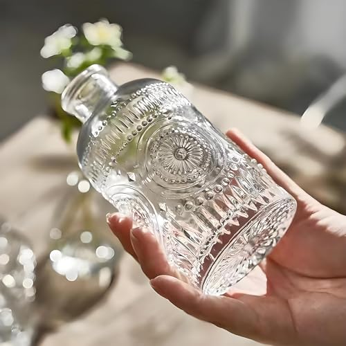TIWPAJS 2Pcs Propagation Vases for Plants, Bud Vases, Small Glass Vase for Flowers, Home and Table Decor, Shelf, Desk, and Office