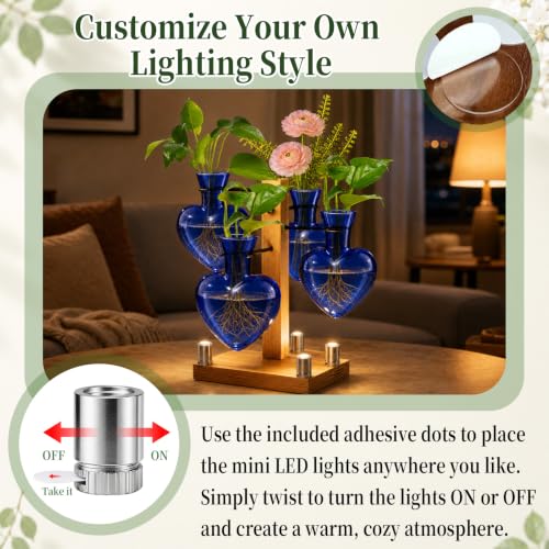Plant Terrarium Propagation Station with 4 Heart Glass Vases - Deep Blue - color: Deep Blue