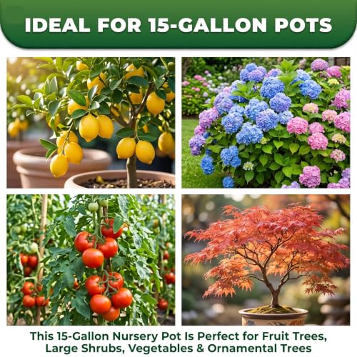 Green Oasis 15 Gallon Nursery Pots (5-Pack) - Premium Injection Molded Black Plastic Plant Pots, Heavy Duty Commercial Grade with Drainage Holes - Perfect for Large Trees, Shrubs & Vegetables