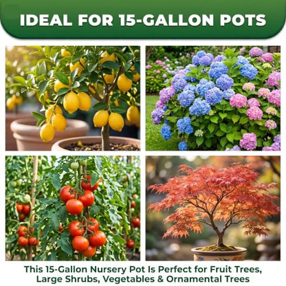 Green Oasis 15 Gallon Nursery Pots (5-Pack) - Premium Injection Molded Black Plastic Plant Pots, Heavy Duty Commercial Grade with Drainage Holes - Perfect for Large Trees, Shrubs & Vegetables