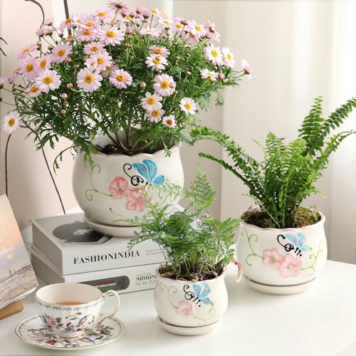 Ceramic Plant Pots with Drainage Holes and Saucers, Small Planters Set of 3 - color: White02