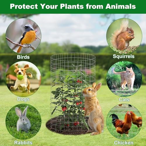 winemana 12 Set Plant Protectors from Animals, Plant Cages for Outdoor - color: Silver, size: 16 IN x12 IN