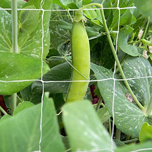 Tcamp Heavy-Duty Polyester Plant Trellis Netting,1 Pack - size: 3.5" Mesh (5 Ft X 30 Ft)